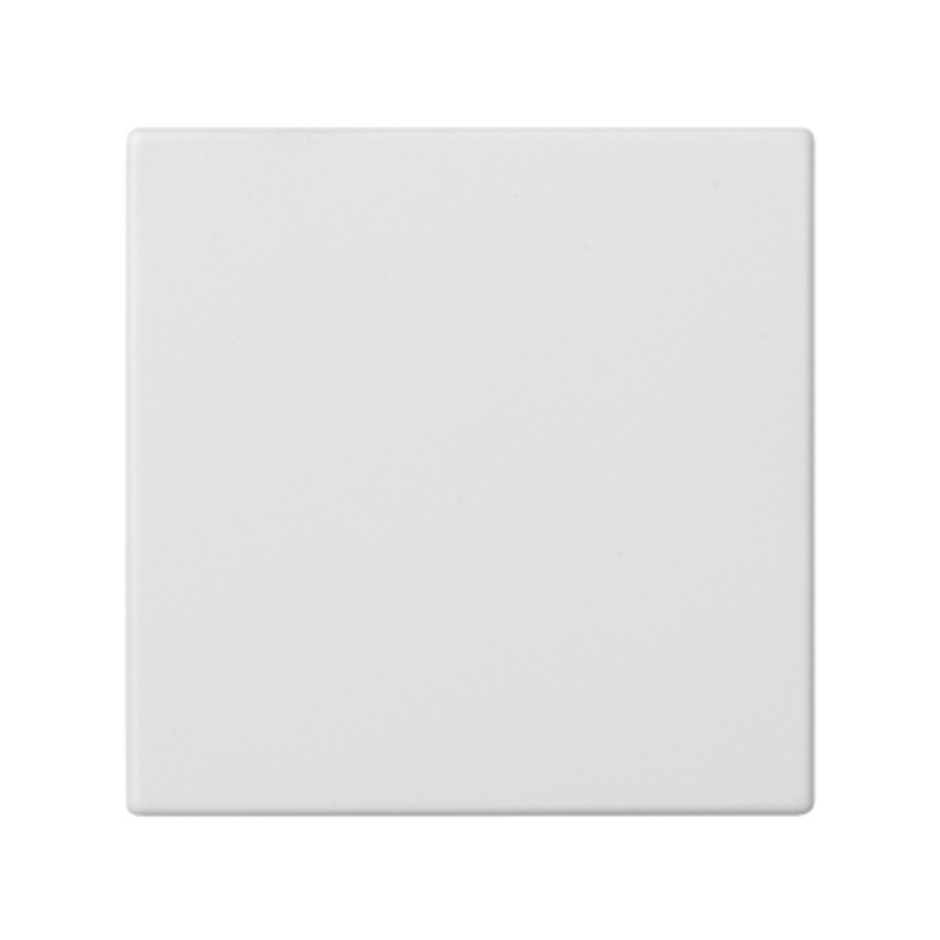 Foto artículo Placa ciega ancha blanco simon (150x150)