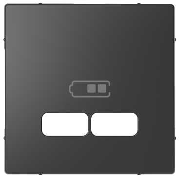 Foto artículo Tapa cargador USB 2,1A D-Life Antracita (150x150)